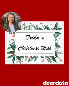 Frida's Christmas Wish